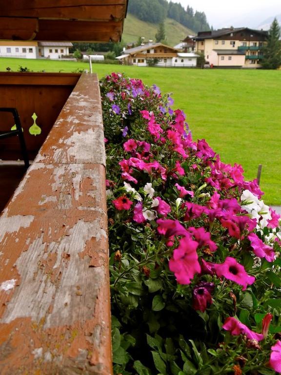 Ski&Bike Pension Maria Saalbach-Hinterglemm Bagian luar foto