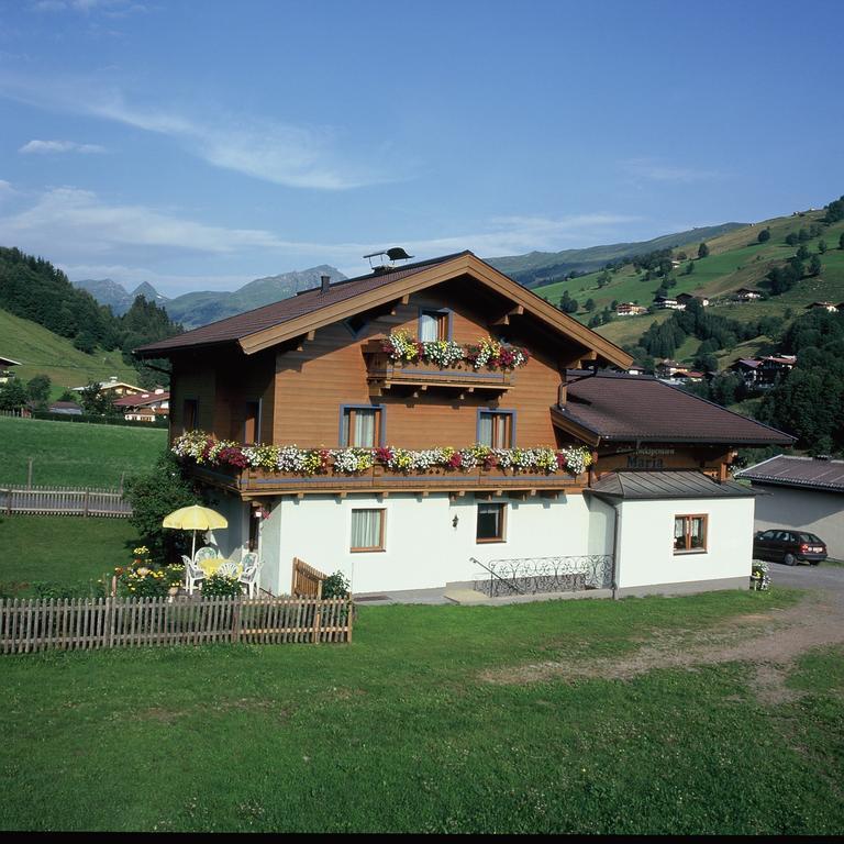 Ski&Bike Pension Maria Saalbach-Hinterglemm Bagian luar foto